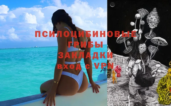 spice Алагир