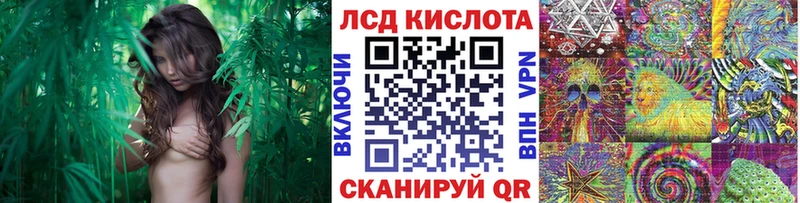 Марки NBOMe 1,5мг  Дубовка 