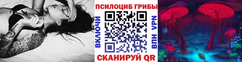 Псилоцибиновые грибы ЛСД  Дубовка 